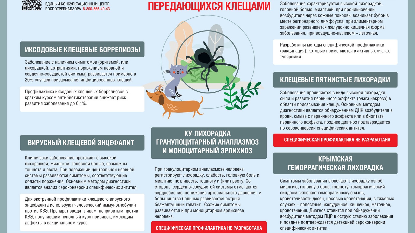 Об инфекциях, передающихся клещами.