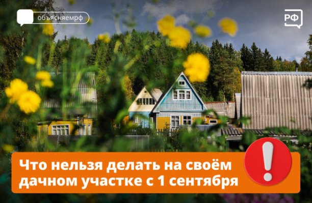 С 1 сентября 2025 года на дачных участках появились новые правила использования земли..